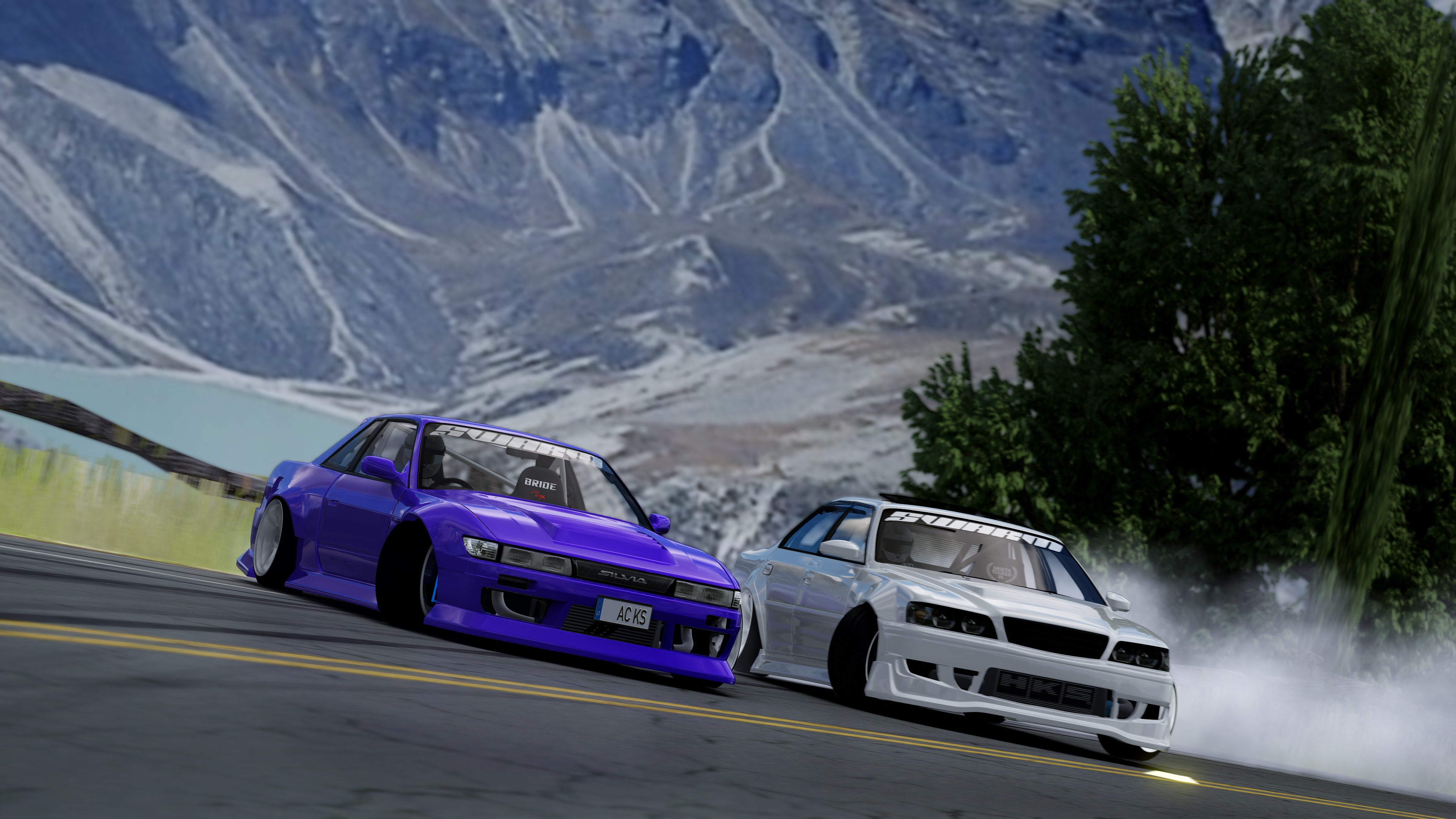 Team SWARM V3 Car Pack For Assetto Corsa