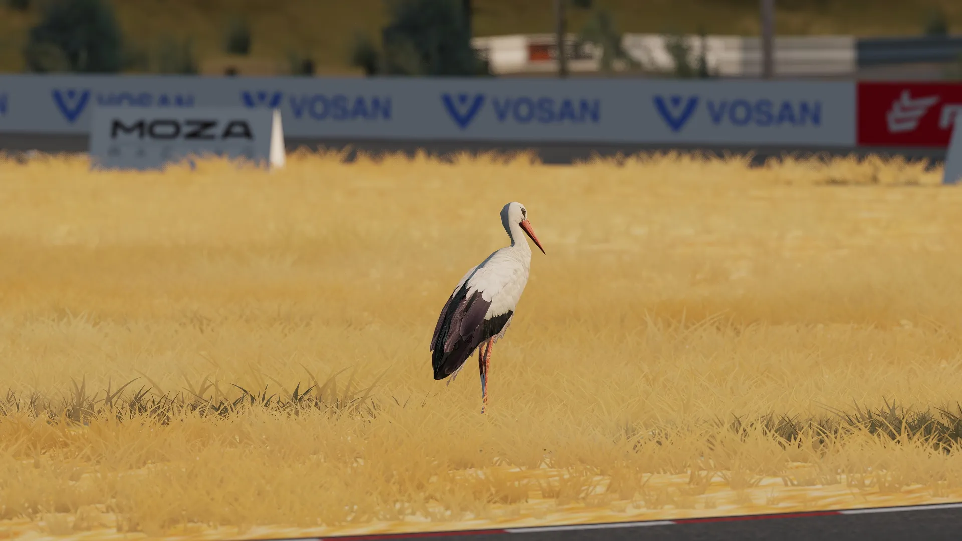 Dzika Driftlandia 2.0 Track For Assetto Corsa