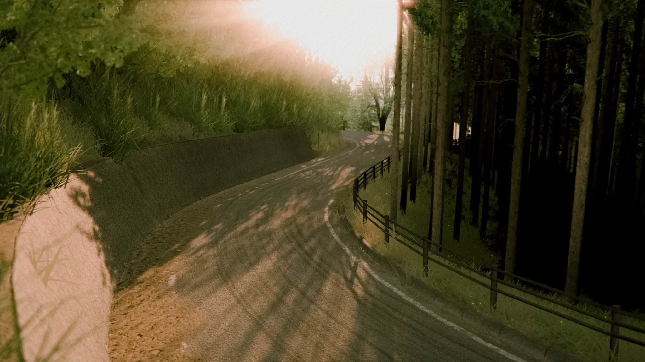 Mitsuishi Forest Park Track For Assetto Corsa