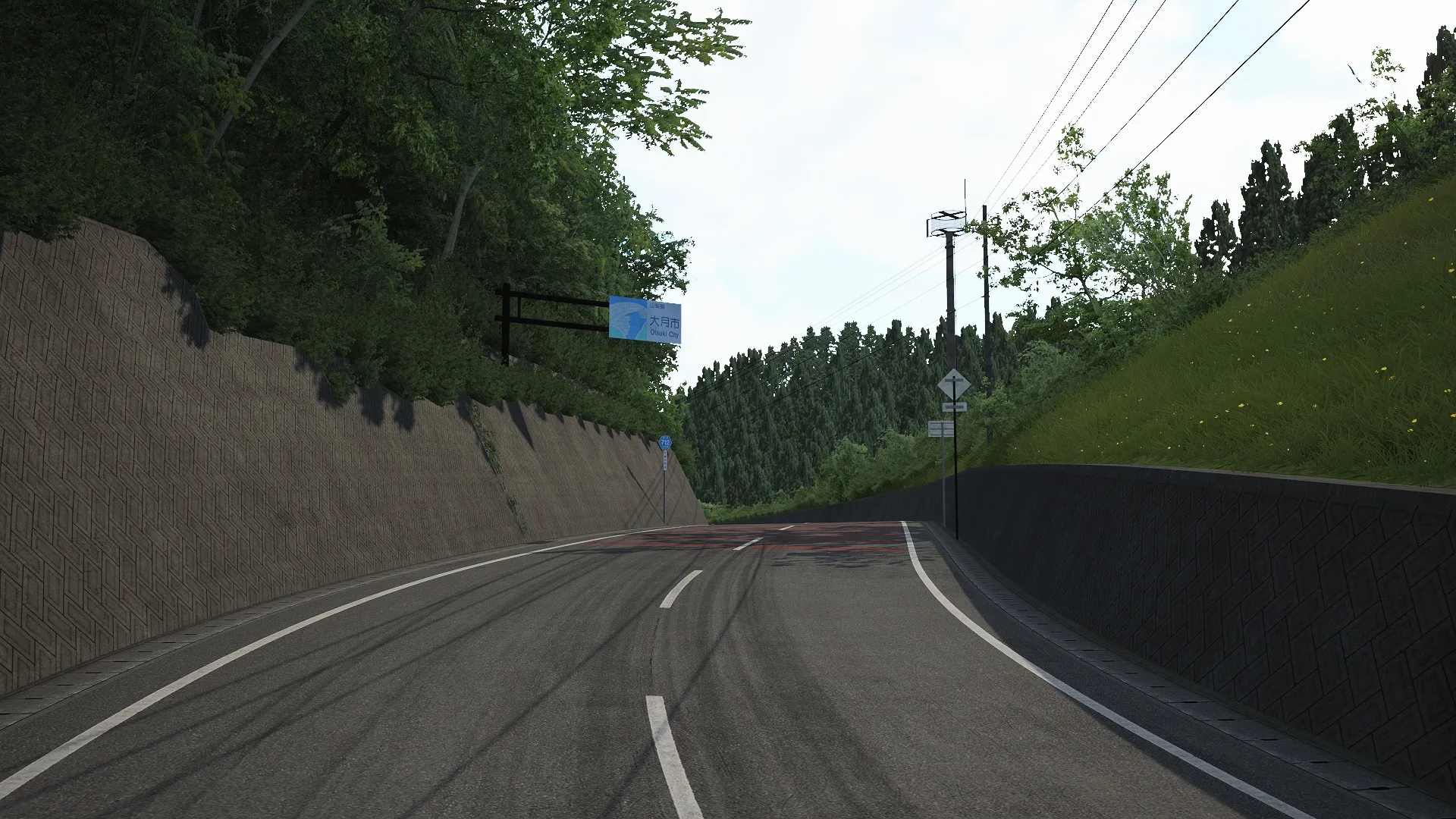 NDP Tsuru Country Track For Assetto Corsa