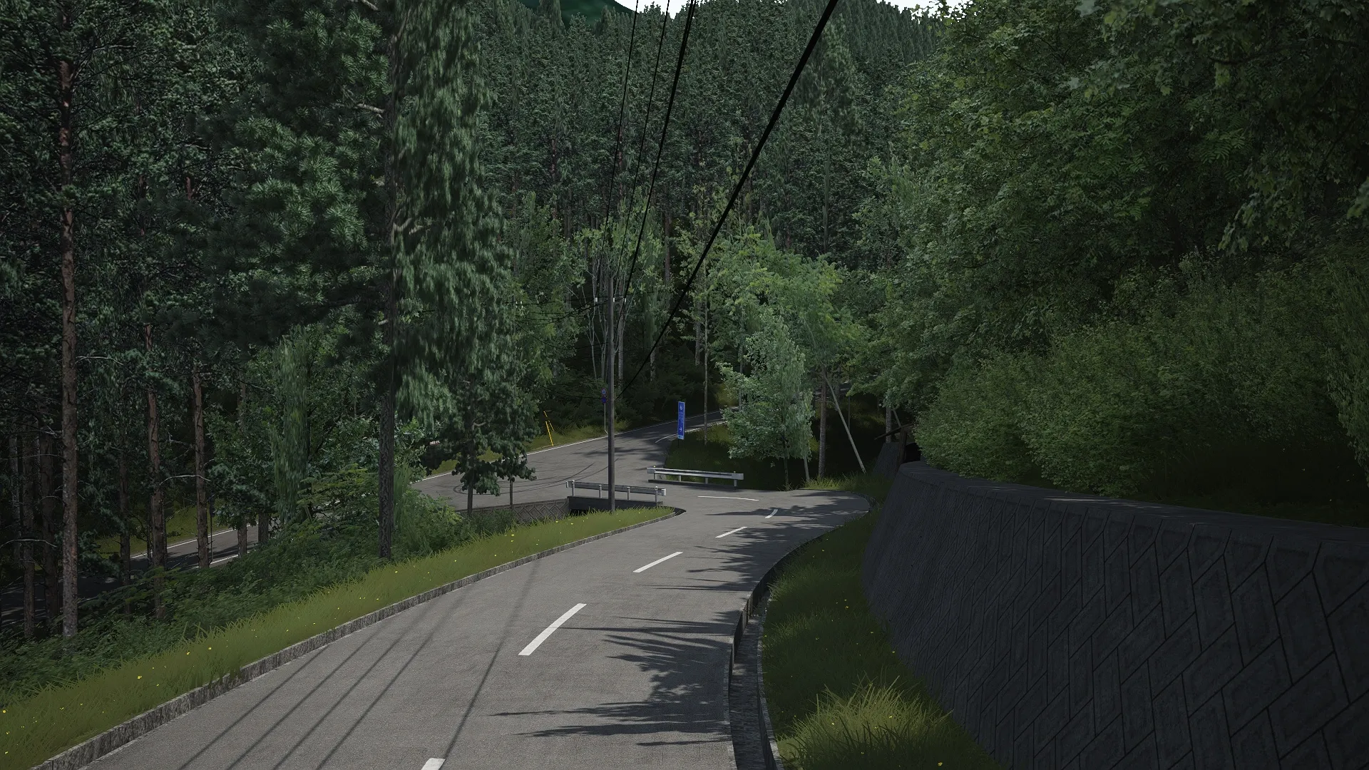 NDP Tsuru Country Track For Assetto Corsa