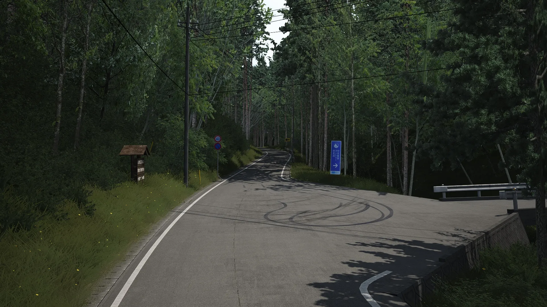NDP Tsuru Country Track For Assetto Corsa